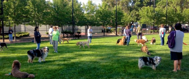 parc canin