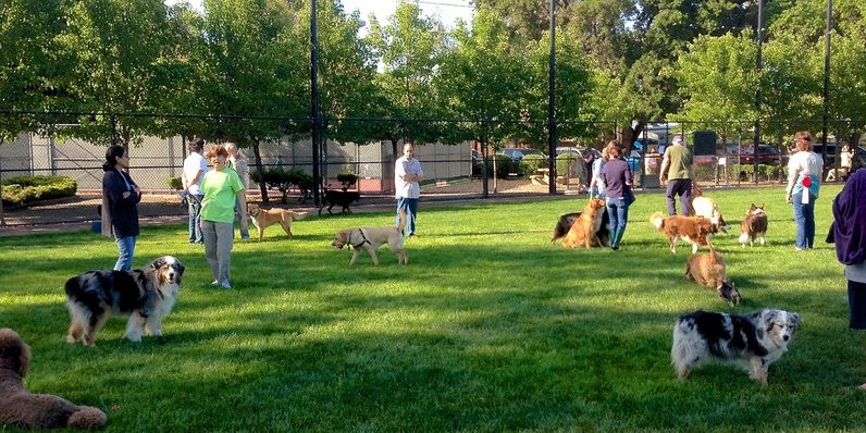parc canin